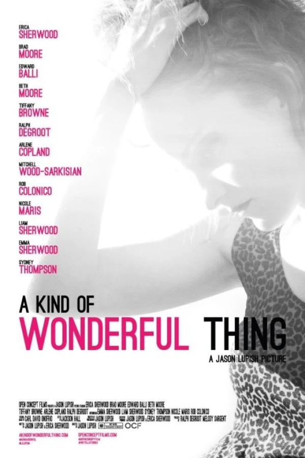 A Kind of Wonderful Thing Poster