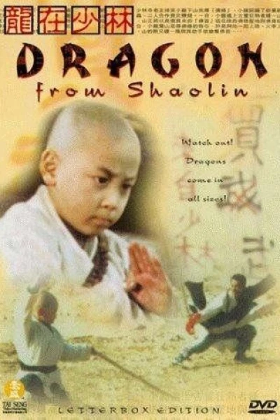 Dragon from Shaolin