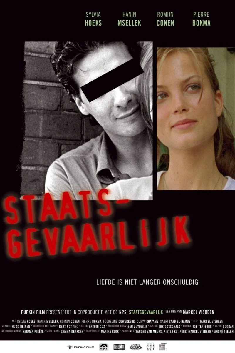 Staatsgevaarlijk Poster