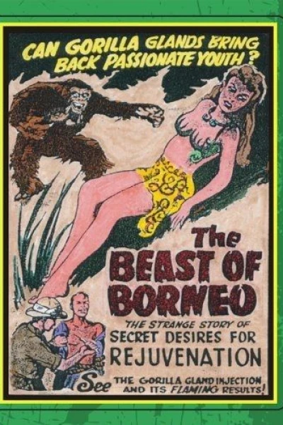 The Beast of Borneo