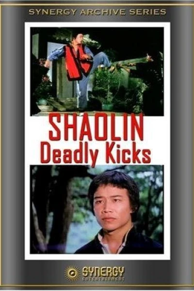 Shaolin Deadly Kicks