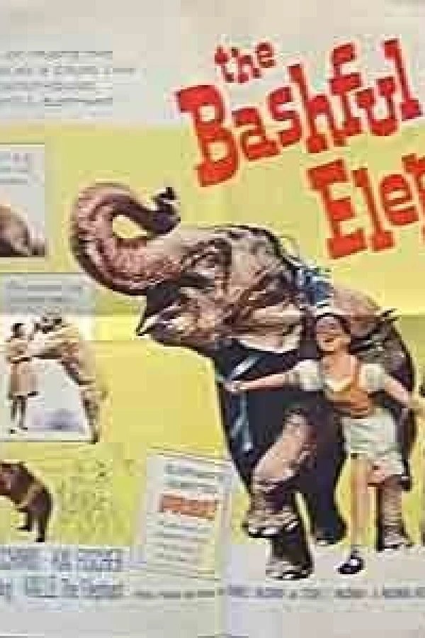 The Bashful Elephant Poster