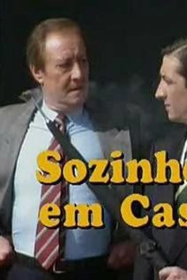 Sozinhos em Casa Poster