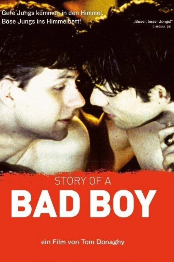 Story of a Bad Boy Poster
