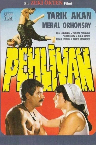 Pehlivan