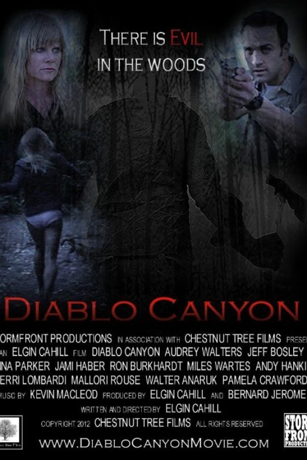 Diablo Canyon Poster