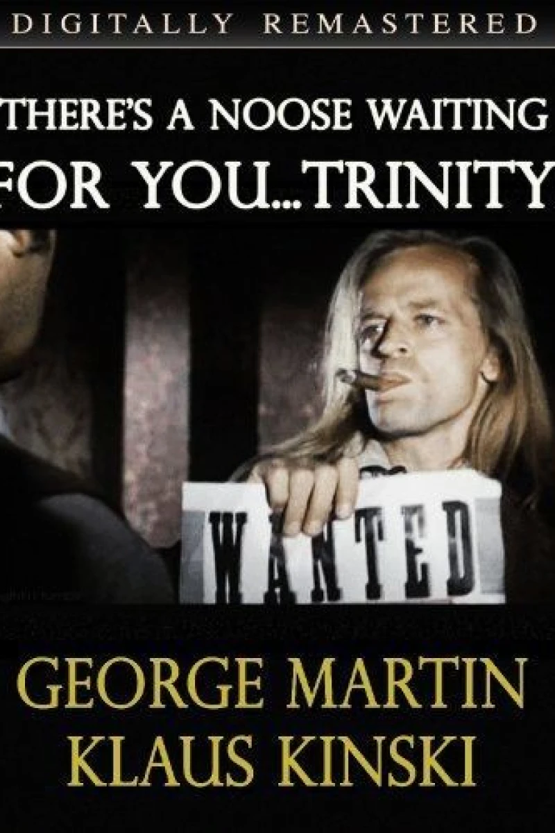 Il ritorno di Clint il solitario Poster
