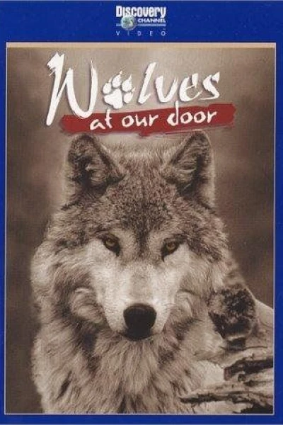 Wolves at Our Door