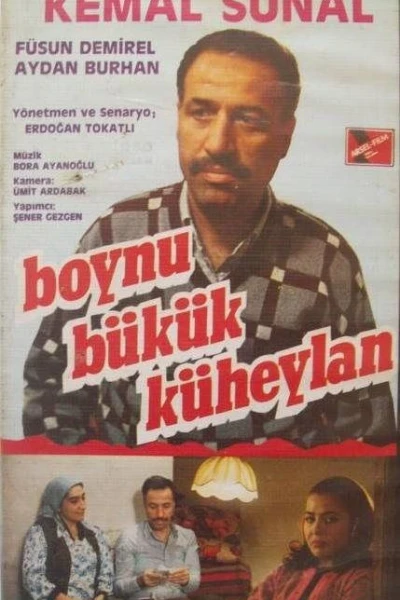 Boynu Bükük Küheylan