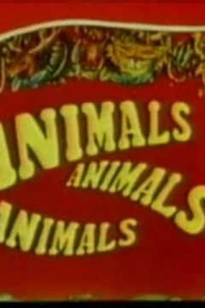 Animals, Animals, Animals