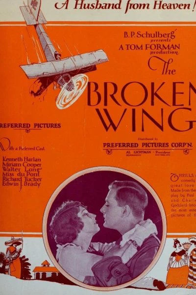 The Broken Wing