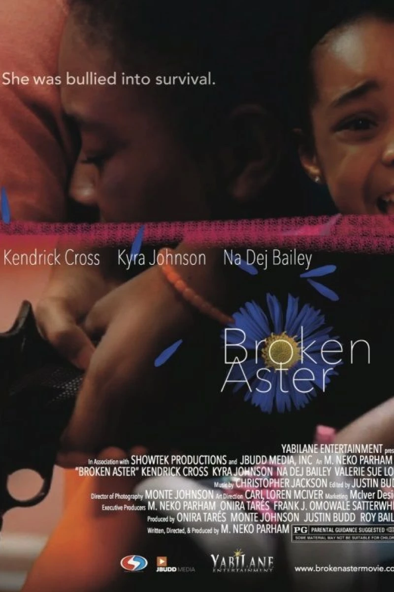 Broken Aster Poster