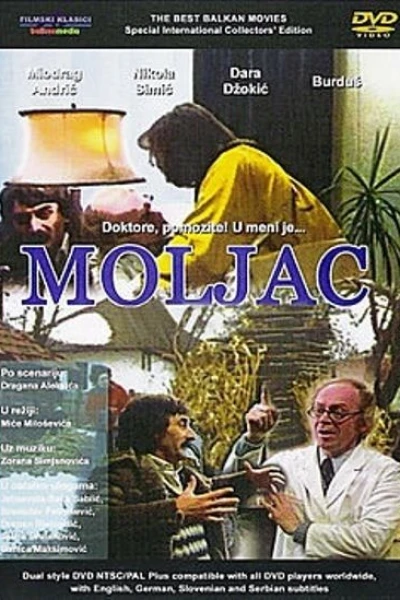 Moljac