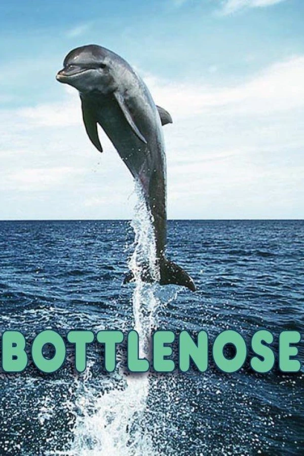 Bottlenose Poster