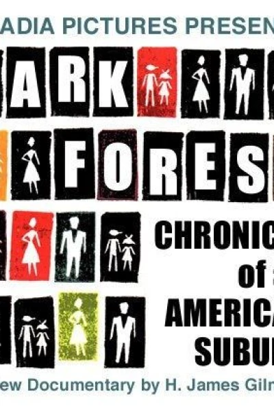 Chronicle of an American Suburb