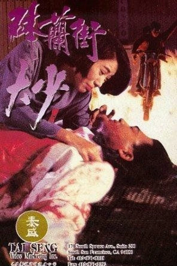 Bo Lan jie da shao Poster