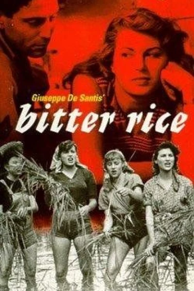 Bitter Rice