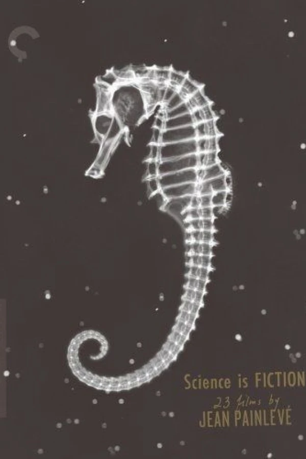 Daphnia Poster