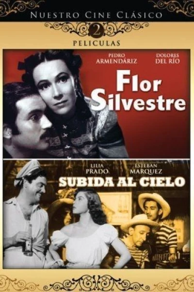 Flor silvestre