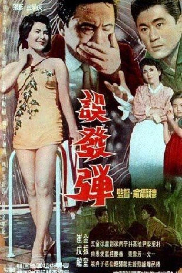 The Stray Bullet Poster