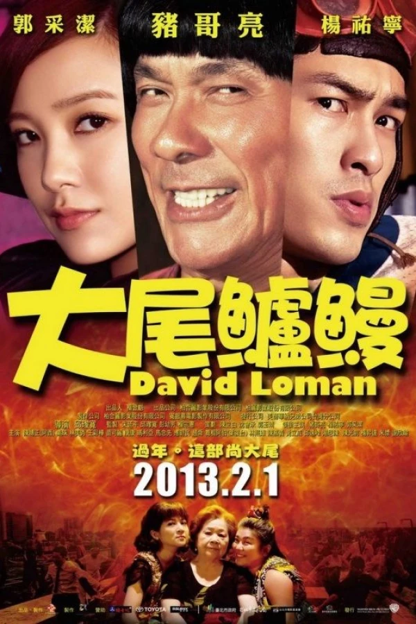 David Loman Poster