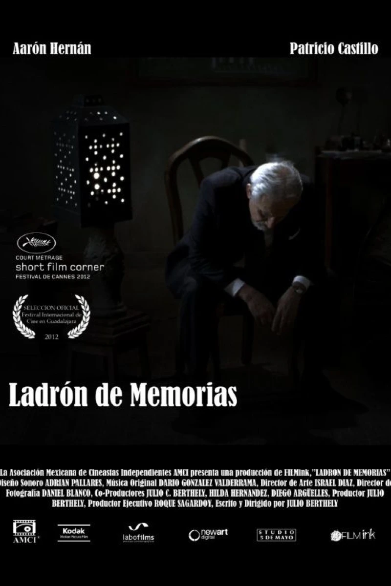 Ladrón de memorias Poster