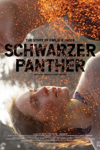 Schwarzer Panther