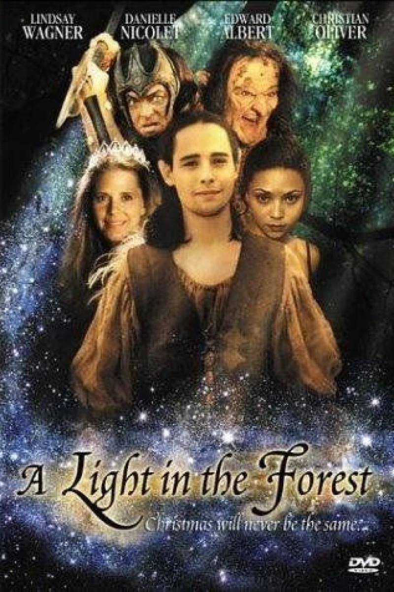 A Light in the Forest Poster