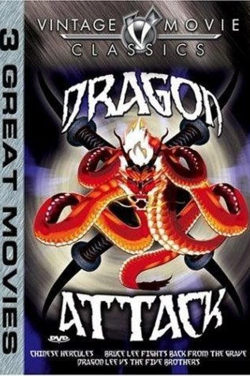 Dragon Attack Poster