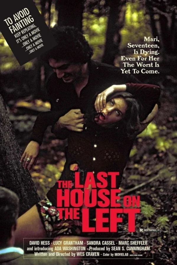The Last House On the Left Poster