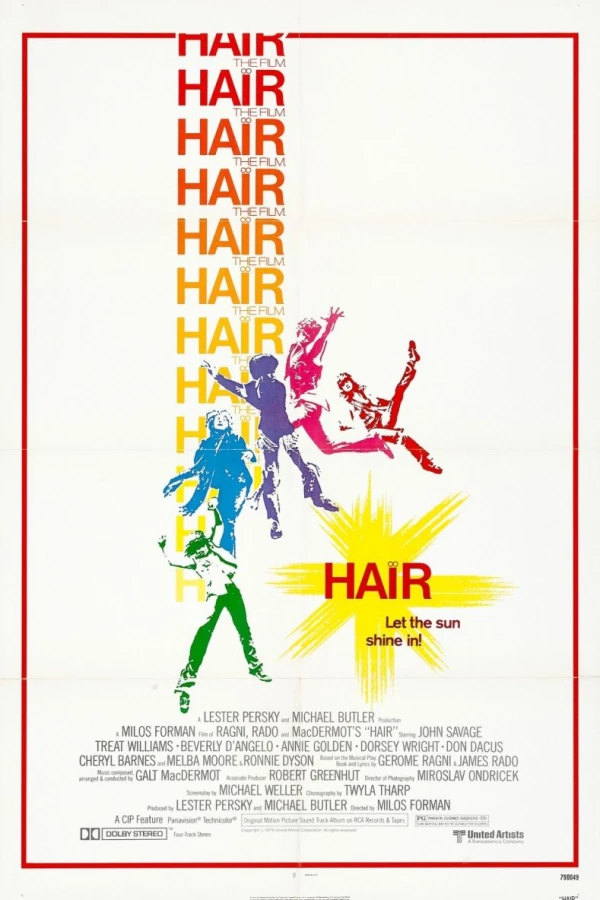 Hair Poster