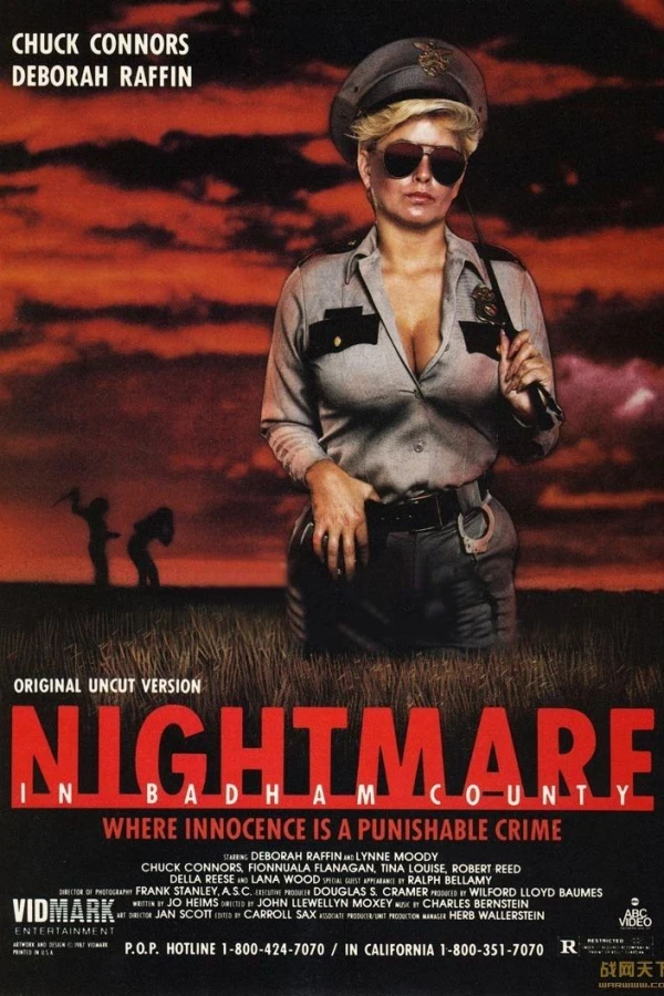 Nightmare in Badham County Poster