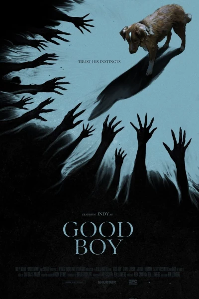 Good Boy