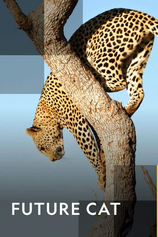 Future Cat Poster