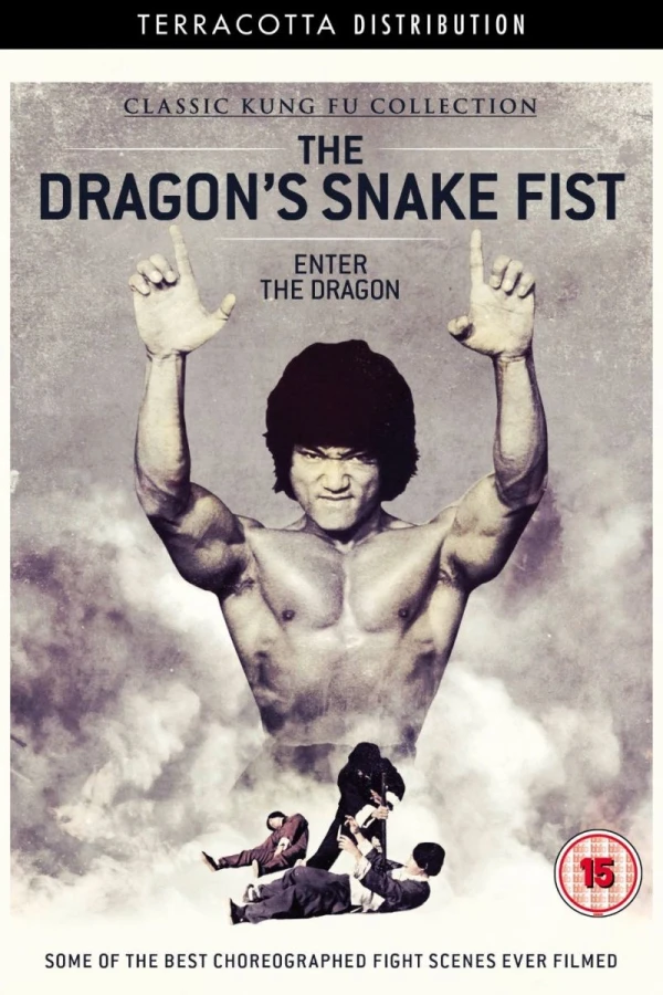 Dragon's Snakefist Poster