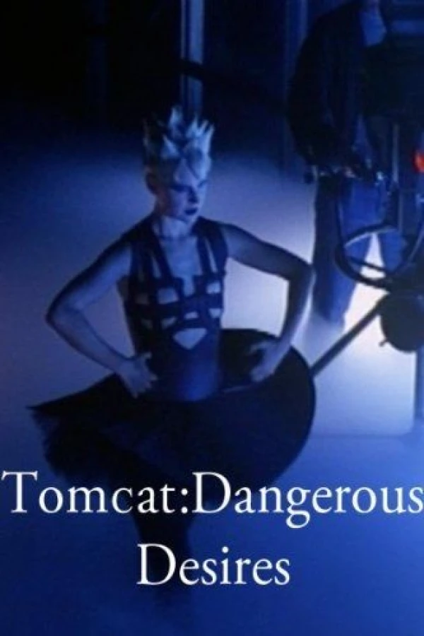 Tomcat: Dangerous Desires Poster