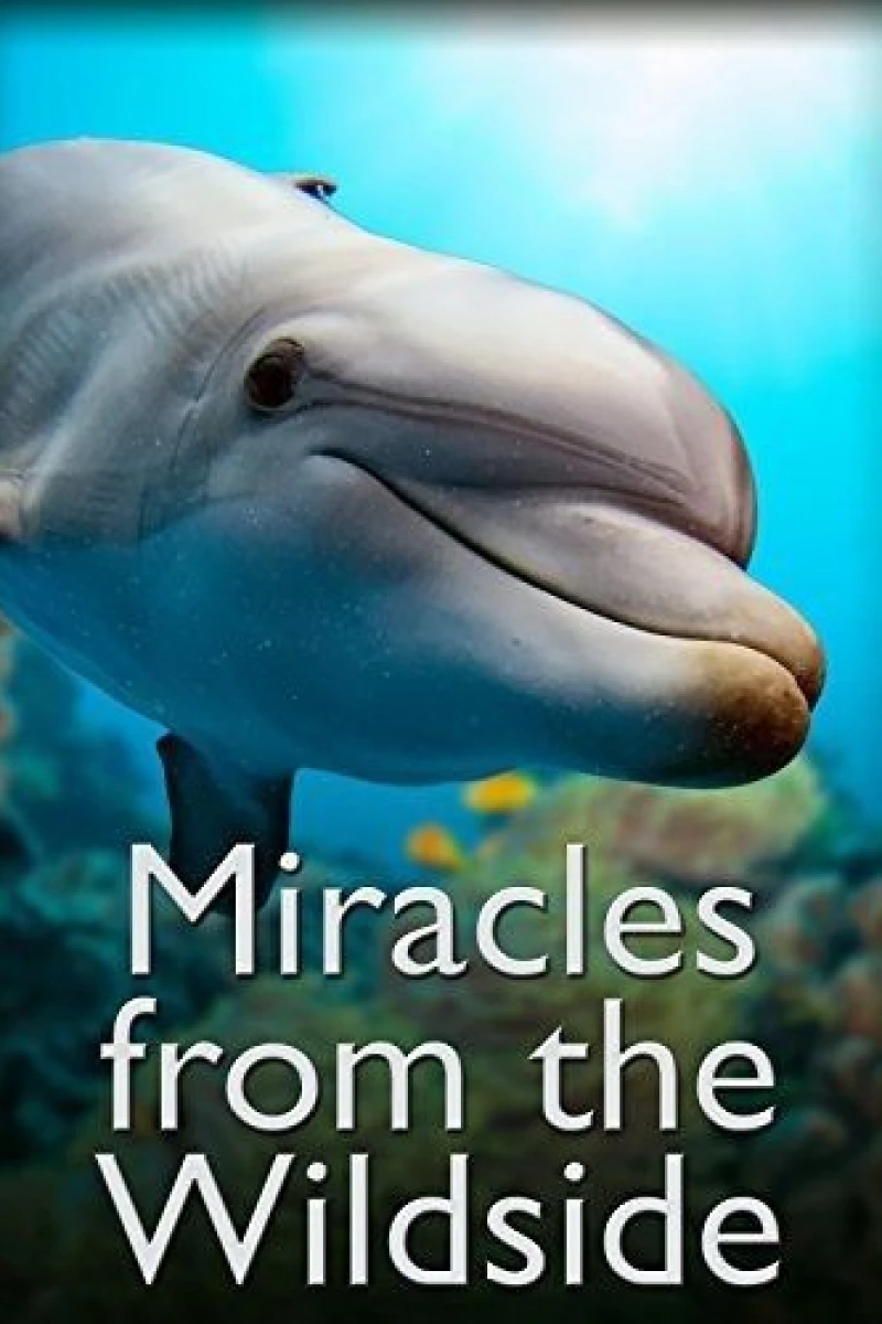 Miracles from the Wildside Poster