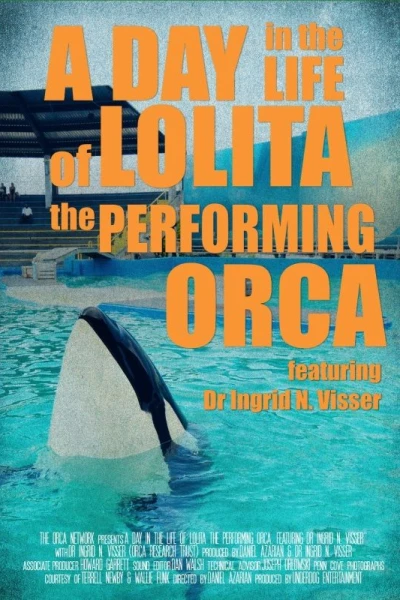 A Day in the Life of Lolita the Performing Orca, featuring Dr. Ingrid N. Visser