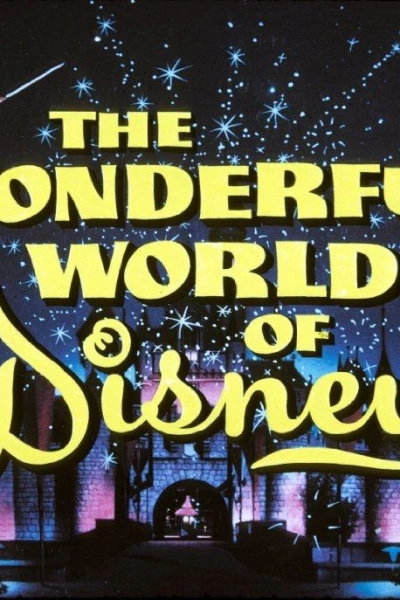 The Wonderful World of Disney