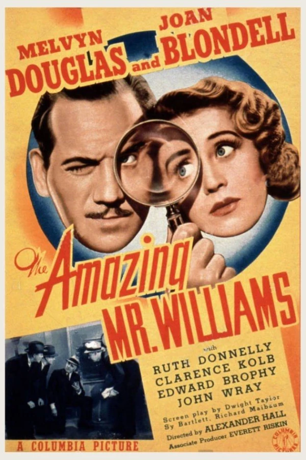 Den förbluffande Mr Williams Poster