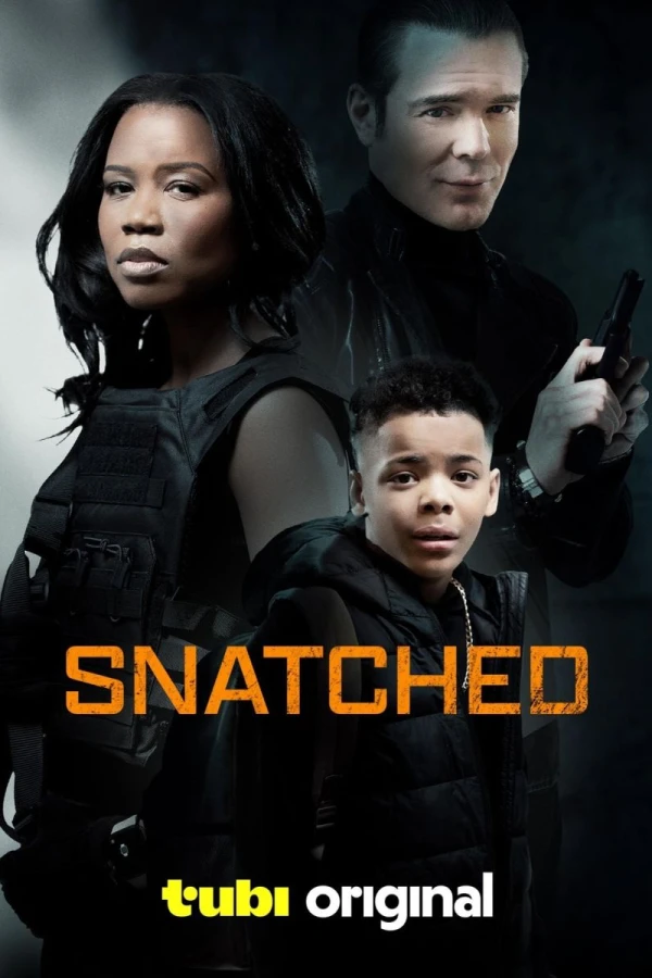 Snatched Poster