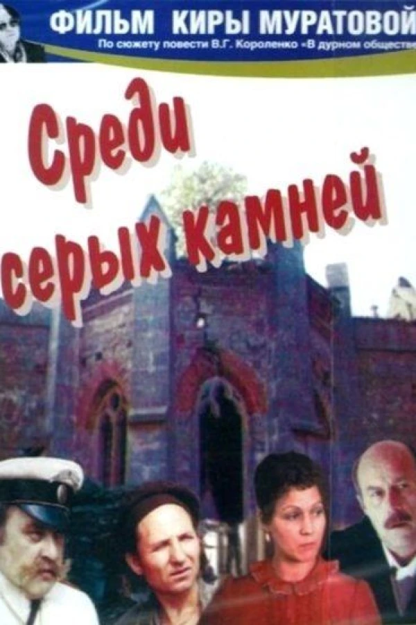 Sredi serykh kamney Poster