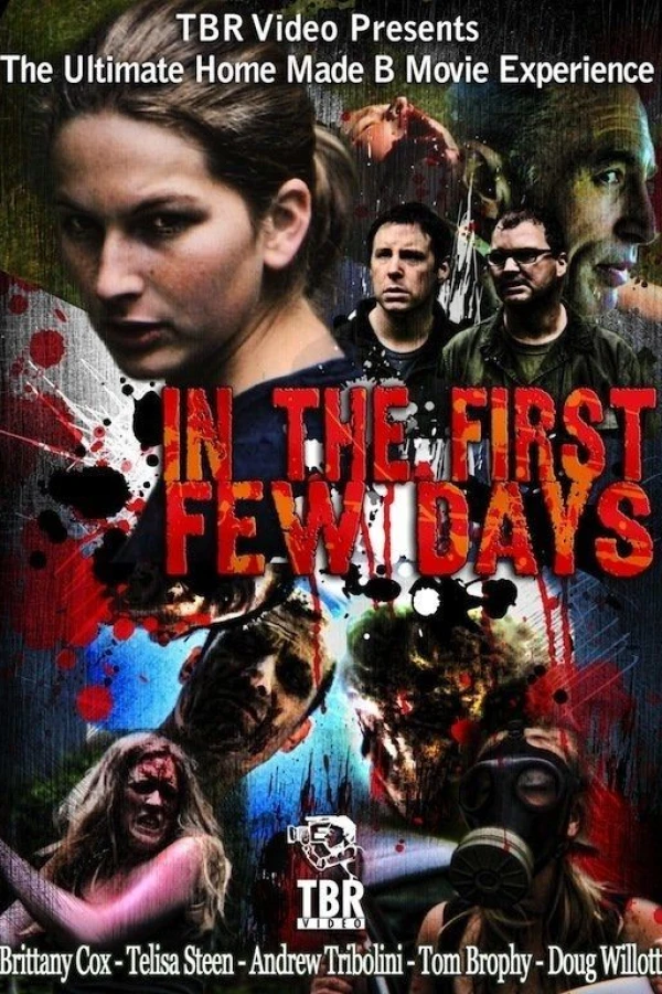 In the First Few Days Poster