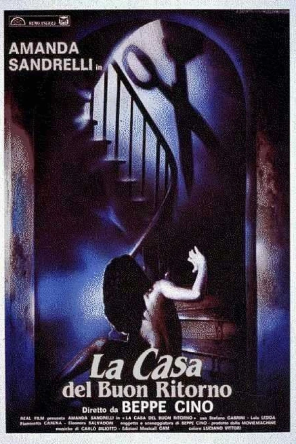 The House of the Blue Shadows Poster