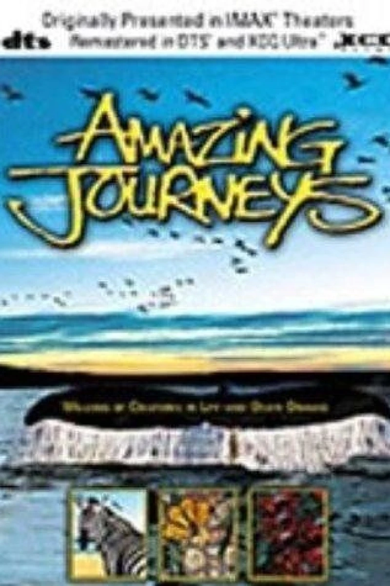 Amazing Journeys Poster