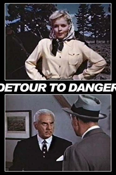 Detour to Danger