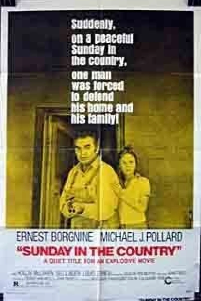 Sunday in the Country Poster