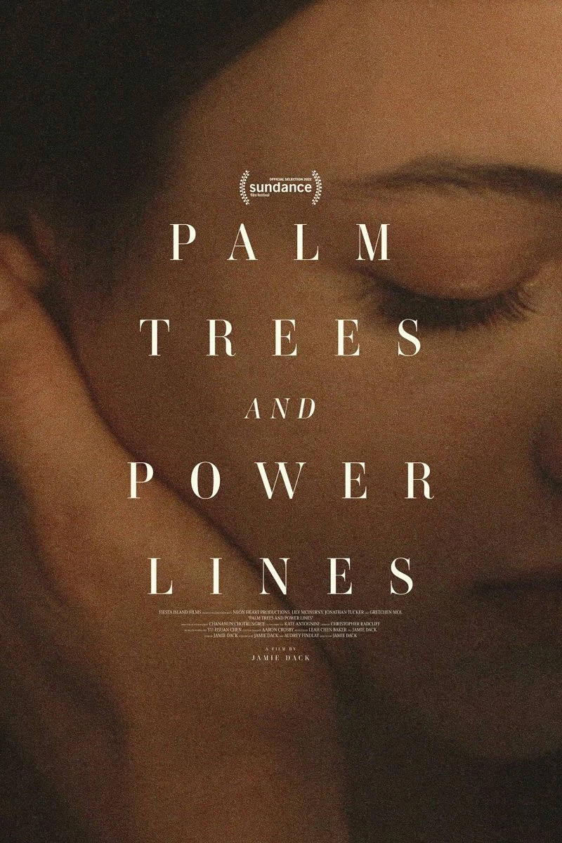 Palm Trees and Power Lines Poster
