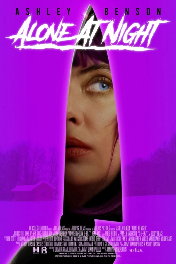 Alone at Night Poster