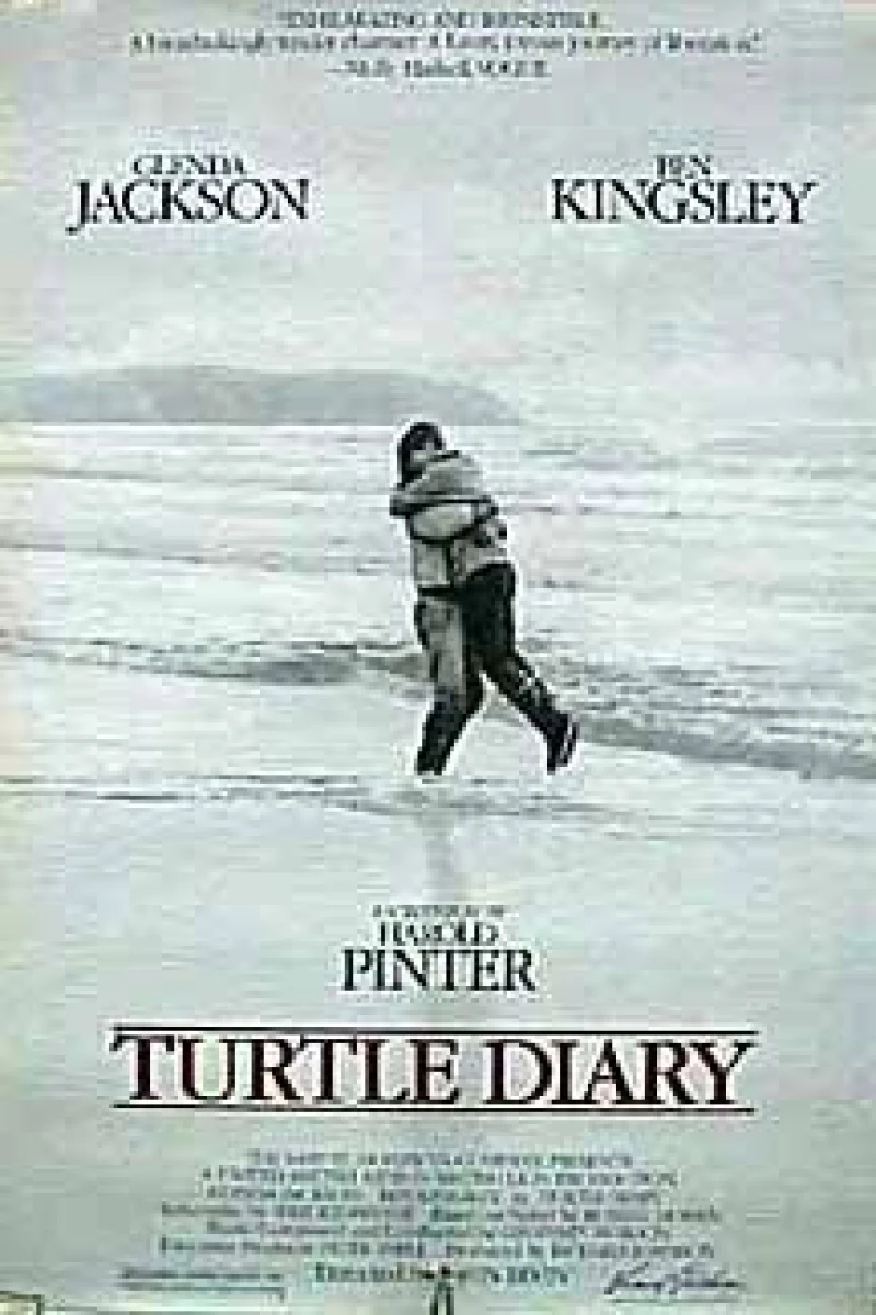 Turtle Diary Poster